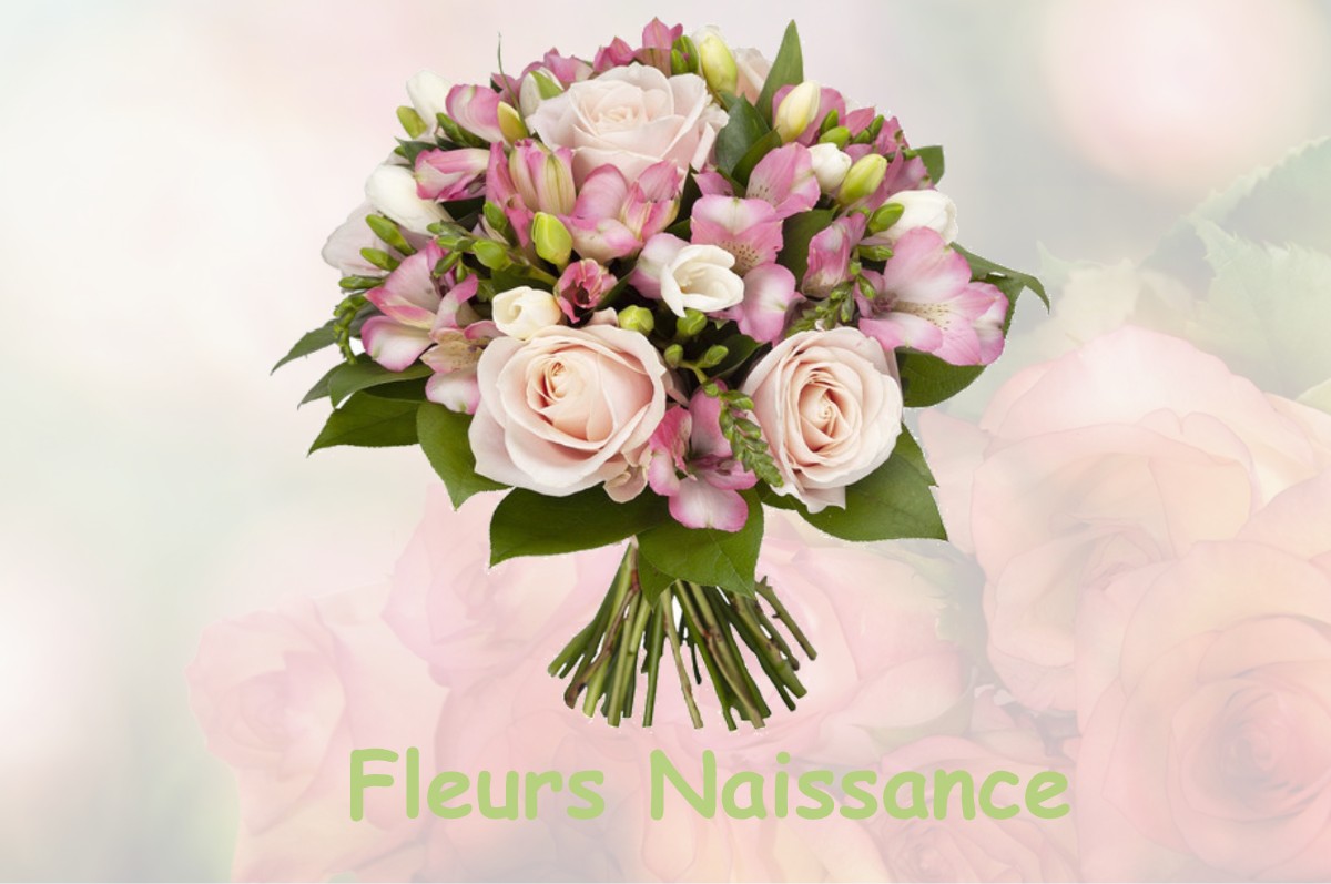 fleurs naissance LONS-LE-SAUNIER